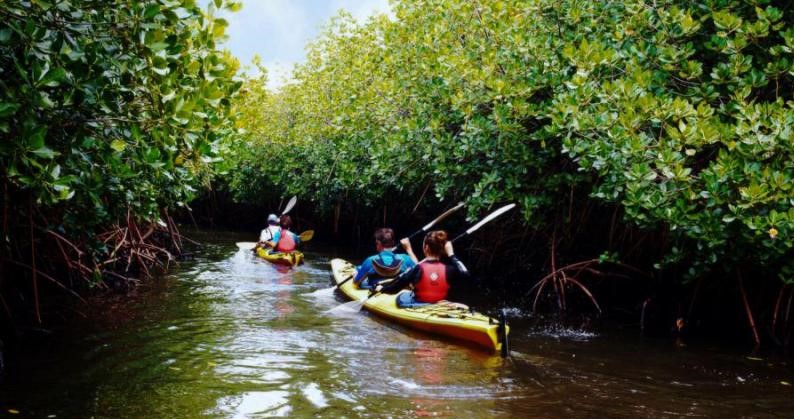 Kayaking