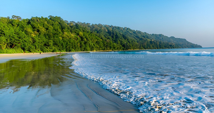 Radhanagar Beach