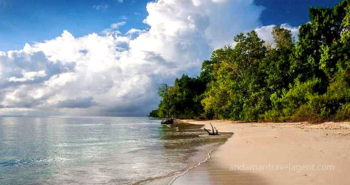 Radhanagar Beach