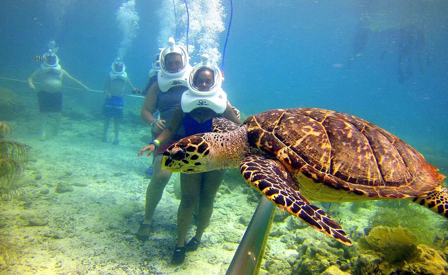 sea-walking