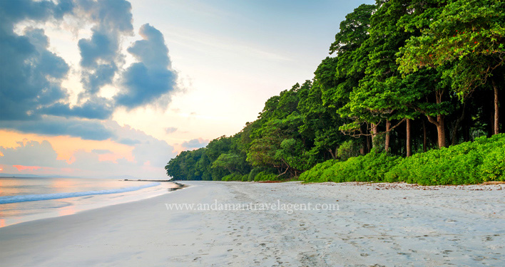 Swaraj Dweep (Havelock Island)